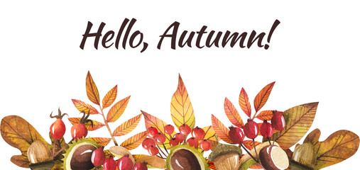 frame of autumn leaves painted by watercolor, isolated clipart, design of autumn themes. Autumn design