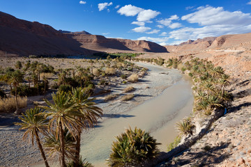 Poster - River and desert, near Erfoud, Meknes-Tafilalet, Morocco