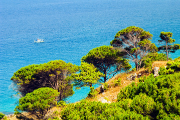 Sticker - Reef, Tabarka, Tunisia, North Africa