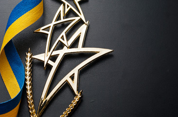 Wall Mural - gold shooting star trophy for a competition winner