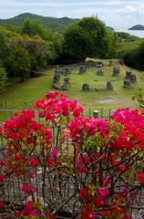 Poster - Martinique, French Antilles, West Indies, Flowering bougainvillea & ruins at site of Chateau Dubuc on the Caravelle Peninsula. The Dubuc Castle was first noted on maps of Martinique in 1773.