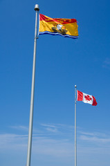 Wall Mural - Canada, New Brunswick. New Brunswick flag.