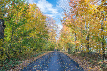 Poster - Canada, Quebec, Eastern Townships, Autumn Road.