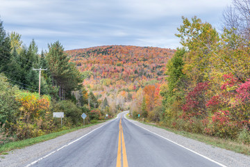 Wall Mural - Canada, Quebec, Eastern Townships, Country Road with autumn color.