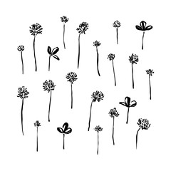 Wall Mural - Hand drawn ink brush painted wild plants. Grunge style clover flowers and leaves as elements for design. Black isolated herbs vector on white background