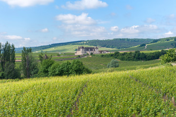 Canvas Print - Chateau du Clos de Vougeot, Cistercian Abbey, Clos de Vougeot, Cote d'Or, Burgundy, France, Europe