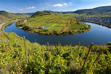 Sticker - The historic village of Bremm is on a horseshoe bend in the river the Mosel Bend in the Moselle Valley, in the Rhineland region. Bremm, Rhineland-Palatinate, Germany