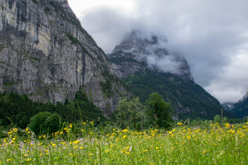 Flowerish meadow in cloudy mountains valley, Alps Switzerland