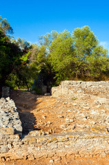 Sticker - Ruins of Roman Comitium, Roman town of Cosa, Ansedonia, Grosseto province, Tuscany, Italy