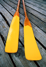 Yellow Wooden Oars On A Weathered Wooden Dock.