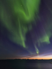 Wall Mural - Northern Lights over the colonial harbour. Nuuk, capital of Greenland.