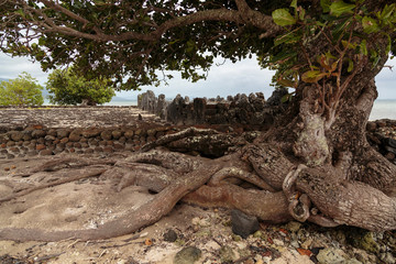 Sticker - Pacific Ocean, French Polynesia, Society Islands, Raiatea. Tree and sacred stones at Taputapuatea Marae, once considered the central temple and religious center of Eastern Polynesia.