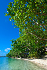 Sticker - Beach at the Aore islet before the Island of Espiritu Santo, Vanuatu, South Pacific