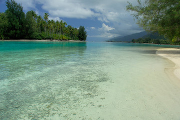 Canvas Print - South Pacific, French Polynesia, Moorea. Shallow lagoon with white sand.