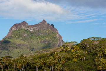  Pacific Ocean, French Polynesia, Society Islands, Leeward Islands, Bora Bora. View of extinct volcano and peaks of Mount Otemanu and Mount Pahia above palms.