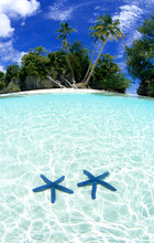 Sea Stars, Rock Islands, Palau