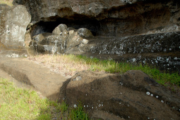 Wall Mural - Chile, Easter Island (aka Rapa Nui). Rano Raraku, the main rock quarry for the great stone Moai. Partially excaved Moai head.