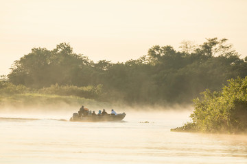 Canvas Print - Pantanal, Mato Grosso, Brazil. Tour boat out in the early morning fog looking for jaguar along the Cuiaba River.