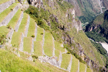 Sticker - South America - Peru. Terracing in the lost Inca city of Machu Picchu.