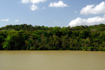 Sticker - Central America, Panama, Panama Canal. Habitat views of the canal near Pedro Miguel Lock.