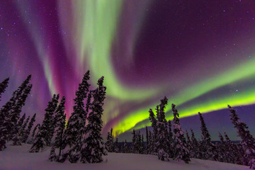 aurora borealis, northern lights, near fairbanks, alaska
