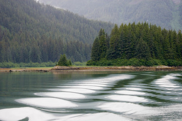 Wall Mural - USA, Alaska, Glacier Bay National Park. Boat wake in Dundas Bay. Credit as: Don Paulson / Jaynes Gallery / Danita Delimont.com 