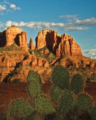 Poster - Cathedral Rock at Sunset from Secret Canyon, Slick Rock Trail, Sedona, Arizona, USA