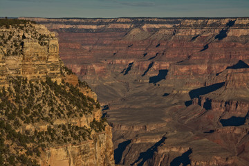 Sticker - Pine Creek Vista, South Rim, Grand Canyon National Park, Arizona, USA