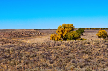 Wall Mural - USA, Colorado, Eads, View of Sand Creek Massacre site from Overlook