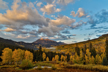 Fall Colors Near Kebler Pass, Crested Butte