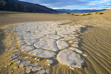 Sticker - USA, California, Death Valley, Dried mud exposed on the rippled sand, Mesquite Flat Sand Dunes.