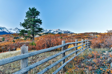 Sticker - USA, Colorado, Ridgway. Fence along field of Autumn colors and Aspens highlighting snowcapped mountains