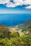 Fototapeta Natura - Hawaii, Kauai, Kokee State Park, View of the Kalalau Valley from Kalalau Lookout