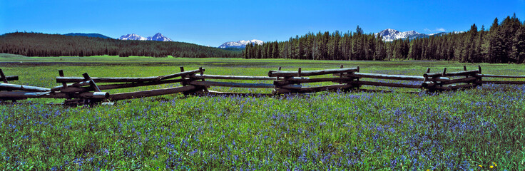 Sticker - USA, Idaho, Sawtooth NRA. A split-rail fence divides a wildflower meadow in Sawtooth NRA, Idaho.