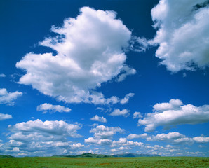 Poster - USA, Idaho, Camas Co. Puffy summer clouds hang in the bright sky over the endless sagebrush of Camas County, Idaho.