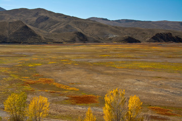 Sticker - Autumn, McKay Reservoir Area, Pioneer Mountains, Idaho, USA