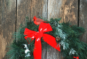 Poster - Northern Cardinal (Cardinalis cardinalis) male on holiday wreath made for birds on barn door, Marion County, Illinois