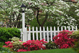 Pickett fence, azaleas, Flowering dogwood tree, and Lamp, Audubon neighborhood, Louisville, Kentucky.