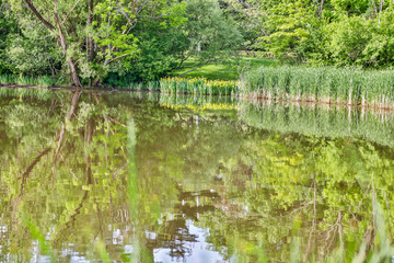 Wall Mural - USA, Ohio, Shaker Heights, Reflections in Horseshoe Lake