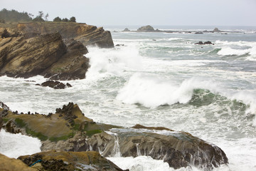 Wall Mural - Rugged coastline at Shore Acres State Park near Coos Bay, Oregon