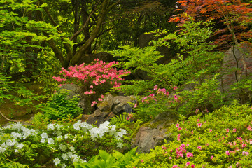 Poster - Spring, Portland Japanese Garden, Portland, Oregon, USA. (PR)