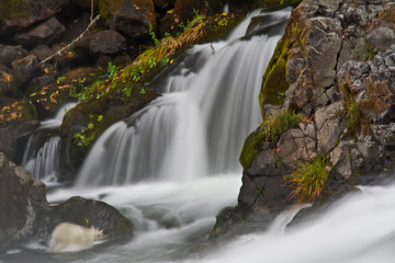 Wall Mural - Autumn, Deadline Falls, North Umpqua River, Umpqua National Forest, Oregon, USA