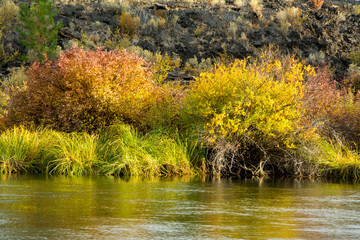 Sticker - Deschutes River, Deschutes, National Forest, Oregon, USA