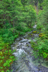 Sticker - USA, Oregon, Willamette National Forest, Opal Creek Scenic Recreation Area, Battle Ax Creek with surrounding lush forest.