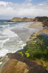 Canvas Print - OR, Oregon Coast, Seal Rock State Park, shoreline view