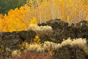 Sticker - Autumn foliage, Lava Island Falls area, Deschutes National Forest, USA