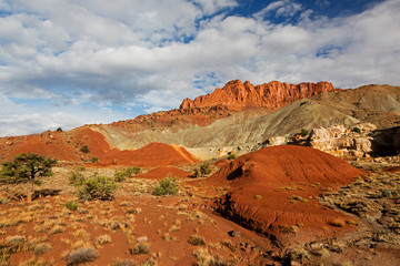 Wall Mural - Utah, Capitol Reef National Park, Waterpocket fold rock formations