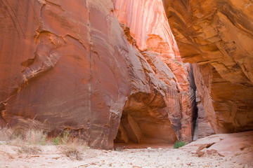 Wall Mural - Water sculpted arch, Buckskin Gulch, 21 mile long slot canyon, Vermillion Cliffs , Paria Canyon, Utah, USA