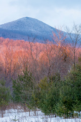 Sticker - Winter in Vermont's Green Mountains. Shrewsbury. Jim Jeffords State Forest.