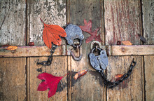 USA, Virginia, Williamburg. Autumn Leaves Cover Two Old Locks That Secure An Old Door In Colonial Williamsburg, Virginia.